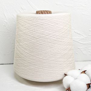 Paxta ipi